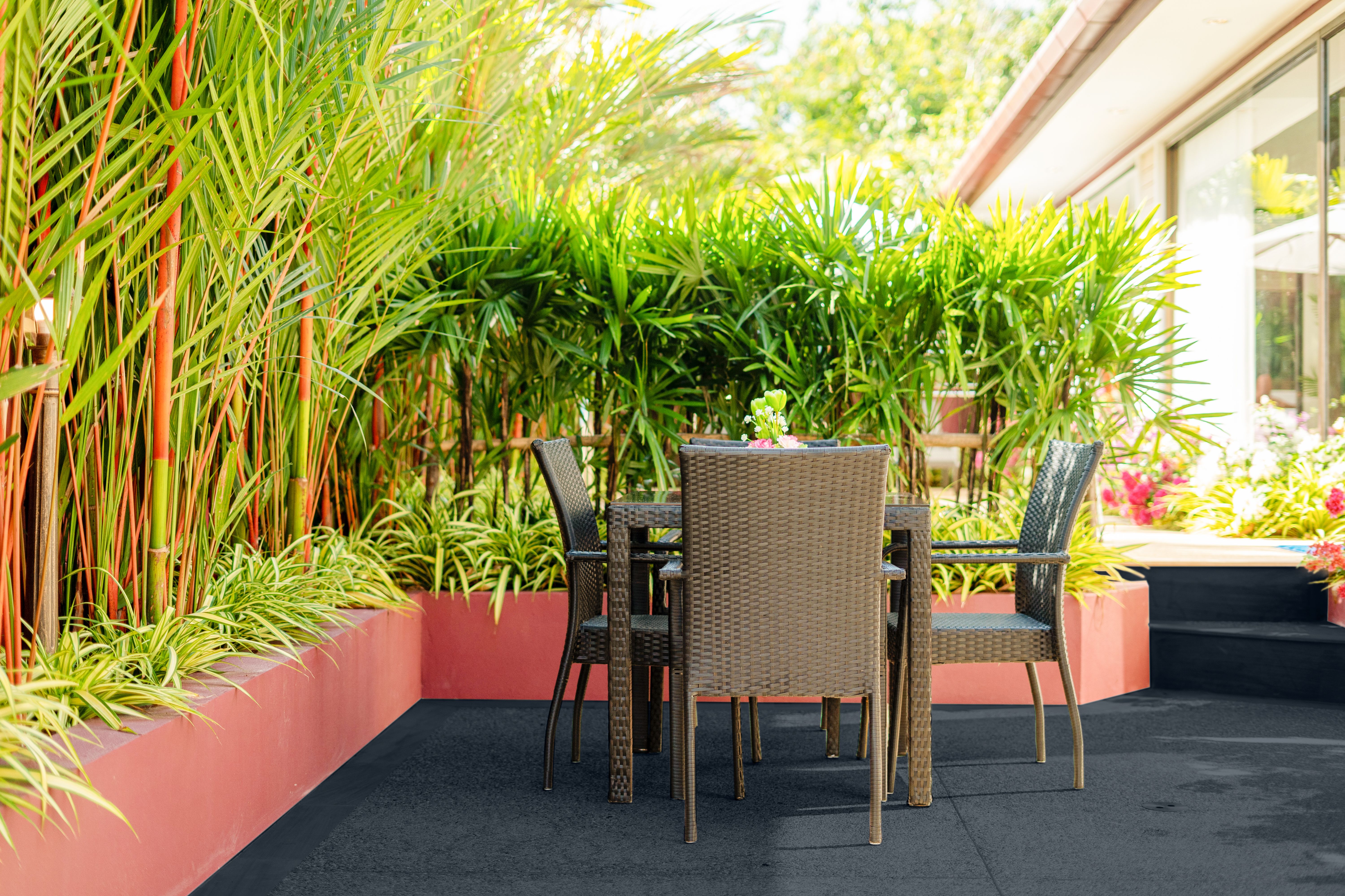 Potencialize o seu quintal ou terraço